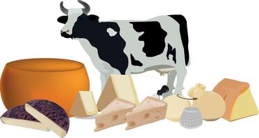 Cow standing behind a selection of different cheeses illustration vector