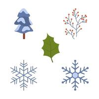 Winter Natural Collection of Pine Fir Coniferous Tree Leaf Snowflake Mistletoe vector