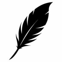 A black feather on a white background vector