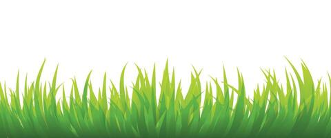 illustration of lush green grass isolated on a white background vector