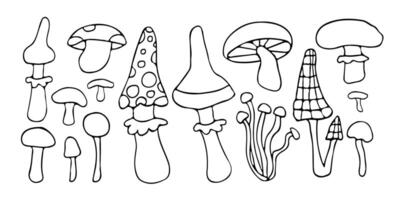 Whimsical mushroom doodles coloring activity page featuring various fungi shapes. Perfect for nature lovers, forest themes, or botanical-inspired artwork and illustrations vector