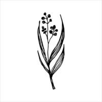 Intricate hand-drawn botanical design featuring a detailed branch with leaves, showcasing minimalist style and clean lines for eco-conscious, nature-themed artwork vector