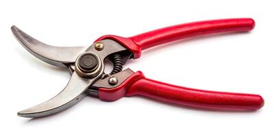 Cutting tool for DIY rose thorn remover in red color isolated on white background in fisheye perspective photo