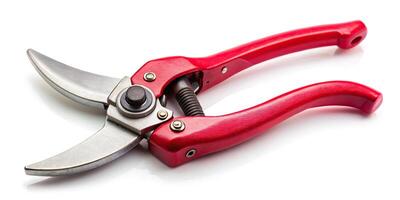 Cutting tool for DIY rose thorn removal in red color isolated on white background photo