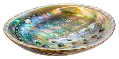 Delicate translucent abalone shell fragment on white background photo