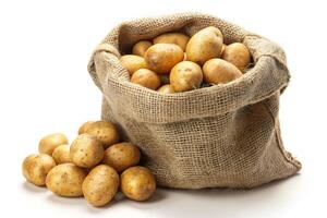 Ripe potatoes harvest in a burlap sack bag isolated on a white background. Dirty potatoes in sackcloth bag reflected photo