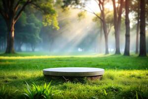 Round pedestal surrounded by grass and trees with blurred fog effect photo