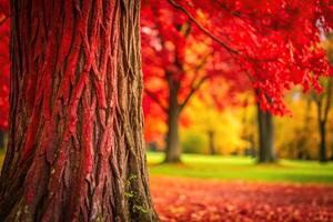 Panoramic view of red shoots against a plum trunk photo