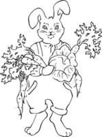 A happy hare in trousers and suspenders stands with a bunch of freshly picked carrots in his hands. Full-length, vintage. Ideal for a children's book, a healthy eating logo. Linear graphics . vector