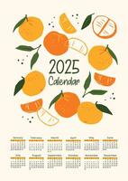 2025 calendar with abstract mandarins. Modern illustration. design template vector