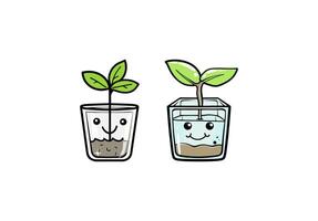 maple sapling in a square glass pot vector