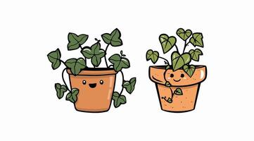 ivy plant crawling out of a terra cotta pot vector