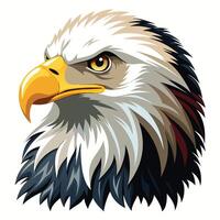 an eagle head with a long beak and a yellow beak vector