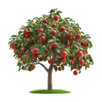 An apple tree with red apples on it png