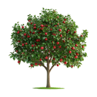 An apple tree with red apples on it png