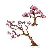 Sakura Tree flowers in many color and texture vector