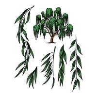 Willow Tree 2 Plant in many color and texture vector