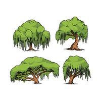 Willow Tree Plant in many color and texture vector