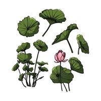 Lotus Leaf easy to change and color vector