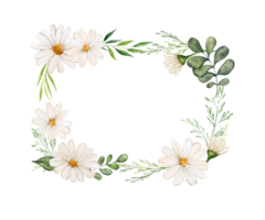 Floral frame with daisies and greenery. Watercolor rectangular frame with space for text. Design and decoration of greeting cards, cards, invitations. png
