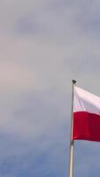 The flag of Austria is waving against the backdrop of a blue sky. image of a black eagle with a crown, holding sickle and hammer in its talons. eagles talons also bear broken chains liberation video