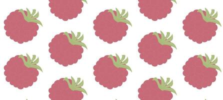 Pattern raspberry berry on a white background. vector
