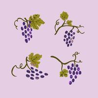 Set of grape branches isolated on a white background. Illustration for menu, banner, poster. vector