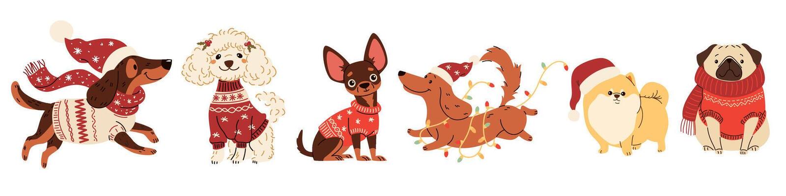 A set of illustrations in children's style on Christmas theme. Cute dogs in warm sweaters and scarves, Santa Claus hat and Christmas garland. Dachshund Pug Spitz Poodle Spaniel Chihuahua