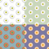 set of seamless patterns with chamomile flower. Summer flower. Ornament for decoration and printing on fabric. Design element. image oct vector