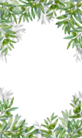 Rectangular Framing with decoration of olives Branches all around png