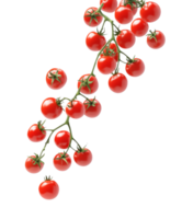 Vine ripened cherry tomatoes on white transparent png