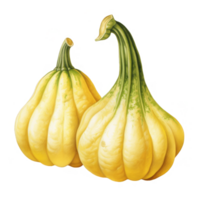 Two Yellow Gourds with Green Stems on transparent background png
