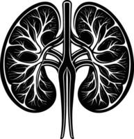 Conceptual artwork of the kidneys depicted as waterfalls, vector