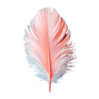 Delicate pink and white feather with soft texture, isolated on a transparent background png