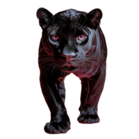 Black panther crouching low with focused eyes, isolated on a transparent background png
