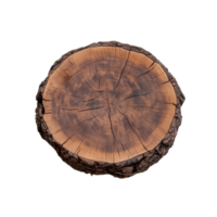 Crosssection of a tree trunk showing wood grain and growth rings, isolated on transparent background png