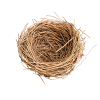 Empty bird nest made of twigs placed on a transparent background png