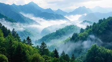 A view of a mountain range covered in fog and trees video