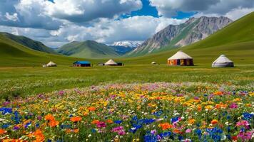 A field of colorful flowers in front of a group of yurts in the mountains video