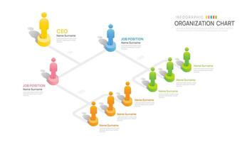 Infographic template for hierarchy organization chart with business avatar icons. infographic for business. vector