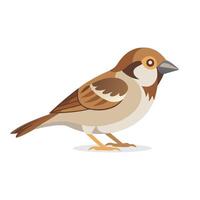 Sparrow animal isolated flat illustration on white background. vector