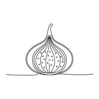 Fig Fruit isolated continuous line art flat illustration on white background. vector