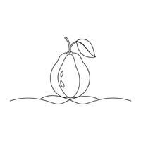 Guava Fruit isolated continuous line art flat illustration on white background vector