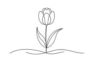 Tulip flower isolated continuous line art flat illustration on white background vector