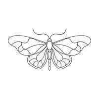 Moth continuous line art flat illustration on white background vector