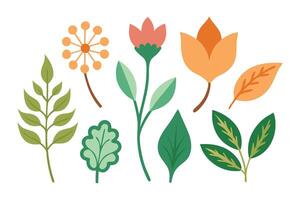 Vibrant illustration featuring an array of colorful leaves and flowers, showcasing nature's beauty and diversity flat illustration set on white background vector