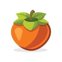 Fuyu persimmon fruit isolated flat illustration on white background vector