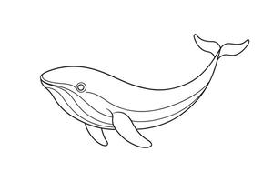 Whale Animal continuous line art flat illustration on white background vector