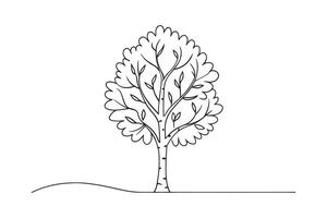 Birch Tree isolated continuous line art flat illustration on white background vector
