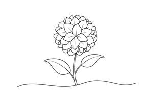 Hydrangea flower isolated continuous line art flat illustration on white background. vector
